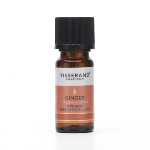 Ginger Essential Oil