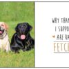 Love is a Mutt