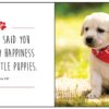 Love is a Labrador