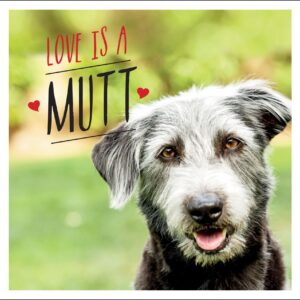 Love is a Mutt