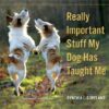 Really Important Stuff My Dog Has Taught Me