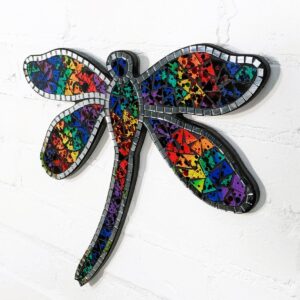 Multicoloured Mosaic Dragonfly