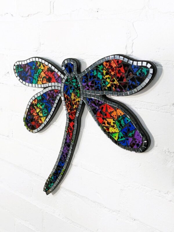 Multicoloured Mosaic Dragonfly