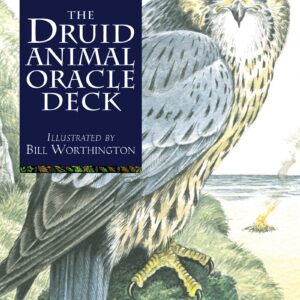 The Druid Animal Oracle D